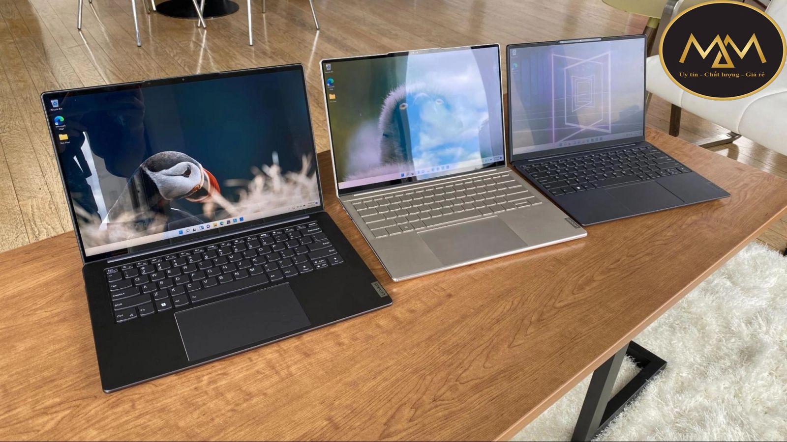 Laptop cũ giá rẻ nhất năm 2023 - 2024
