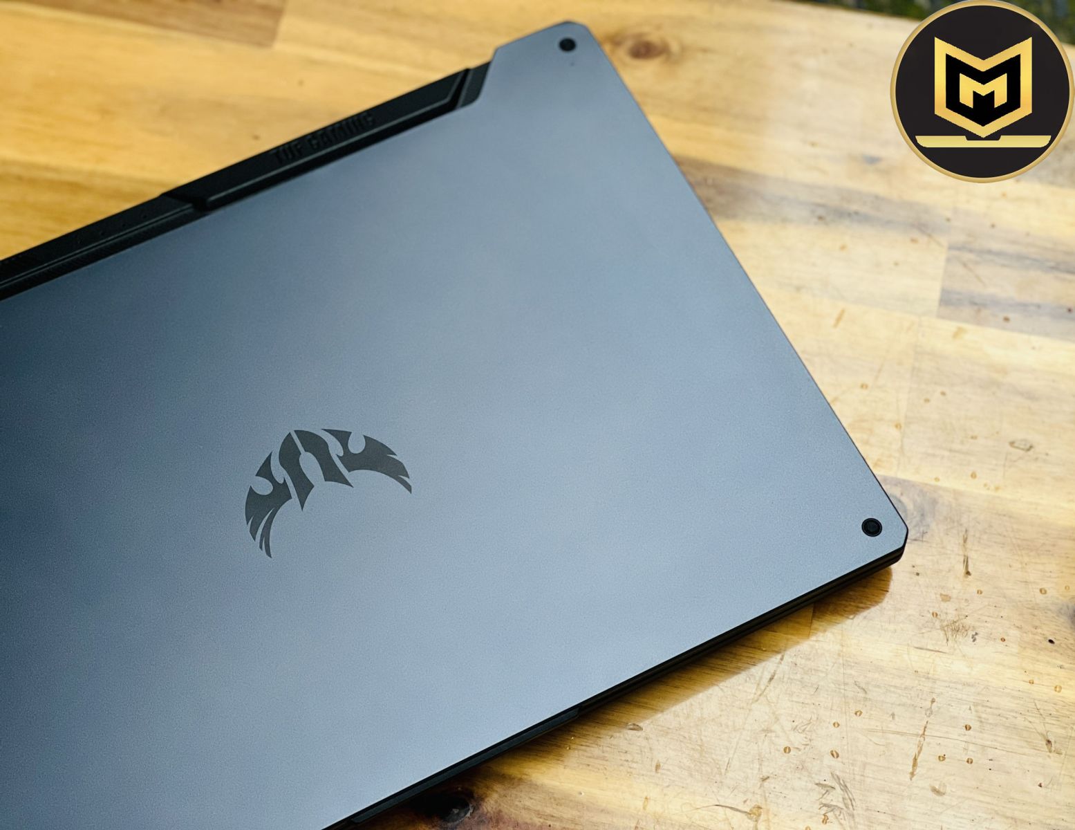 ASUS TUF GAMING A15 FA506II R5 4600H