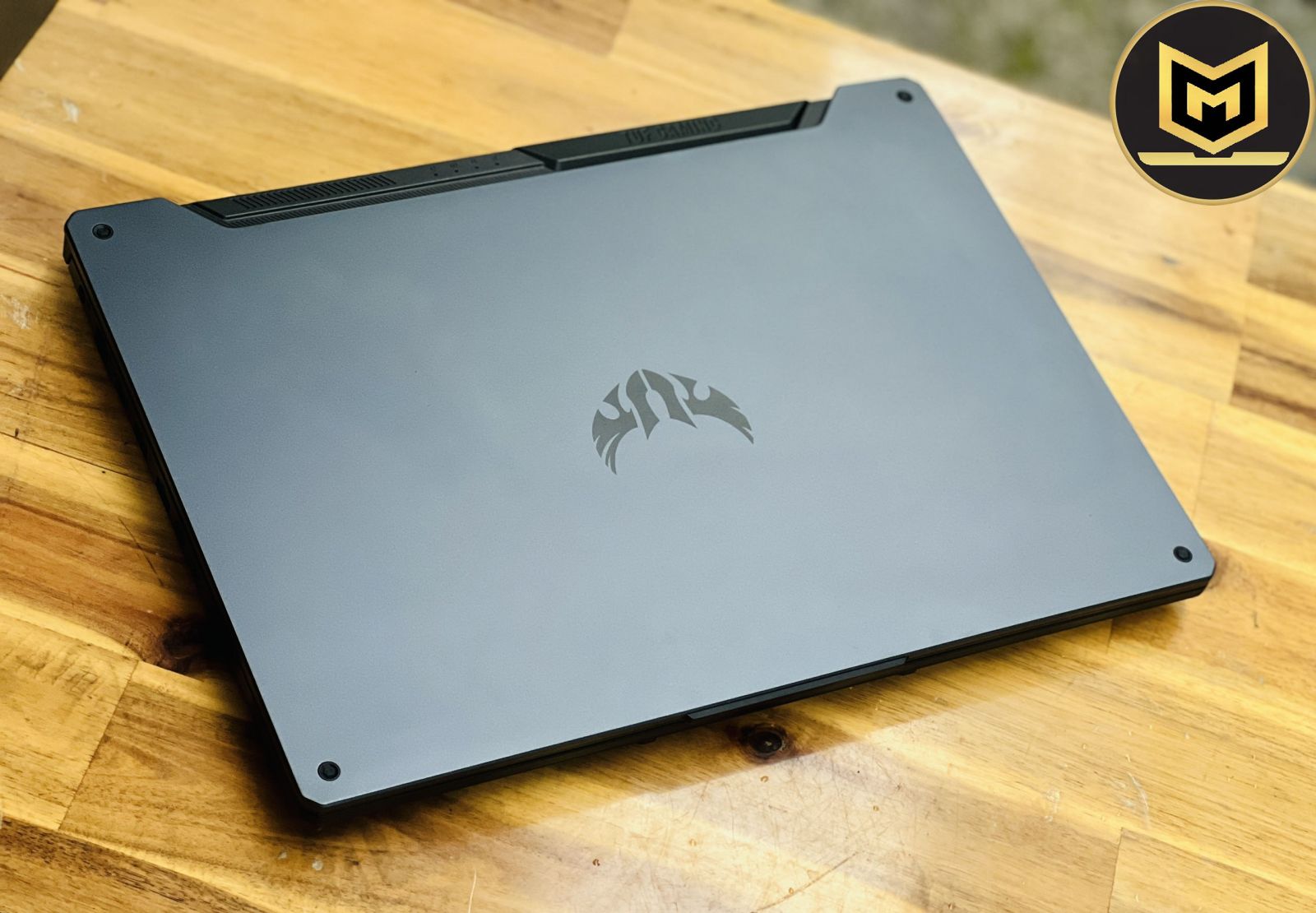 ASUS TUF GAMING A15 FA506II R5 4600H