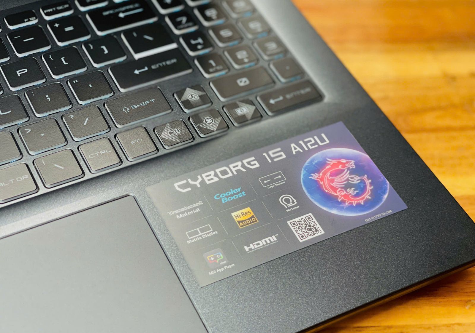 MSI CYBORG 15 A12UCX i5 12450H