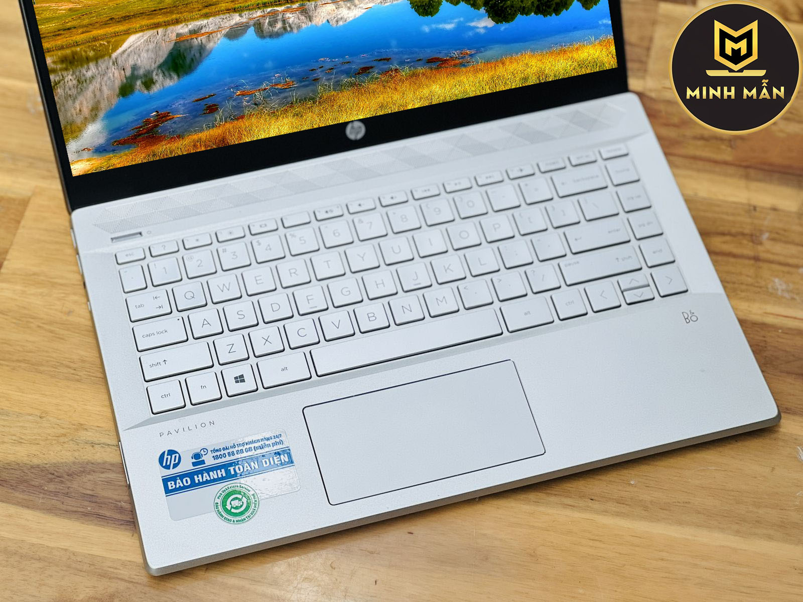 HP Pavilion 14 CE3015TU
